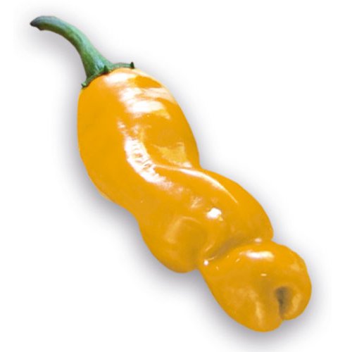 Peter Pepper Penis Yellow Chili semiačka